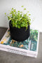 Capi Europe - Sandbag Groove Black & Gold - 10x9 - Zwart - Opening Ø7.4 - Bloempot voor binnen - 5 jaar garantie - BGVBL392