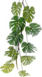 Everlands Monstera/gatenplant kunstplant slinger - 180 cm - groen