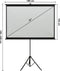 vidaXL - Projectiescherm - met - statief - 1:1 - 89''