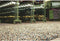Brink en Campman - Rocks mix 70401 Vloerkleed - 250x300 - Rechthoek - Laagpolig,Structuur Tapijt - Modern - Meerkleurig