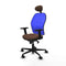 Piqueras y Crespo 2D036N1 - Bureaustoel - Verstelbare hoogte met armleuning - Blauw Donkerbruin