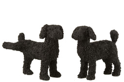 J-Line Viv! Home Luxuries Hond - polyresin - zwart - 2 stuks