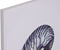 Schilderij Home ESPRIT Schelp 60 x 2,5 x 80 cm (4 Stuks)