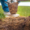 Root Slayer Mini-Digger - Tuingraafmachine - Lichtgewicht en duurzaam - Rood