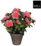 Mica Decorations Azalea - Kunstplant in Bloempot - Onderhoudsvrij - Perzik
