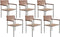 VIAREGGIO - Tuinstoel set van 6 - Lichte houtkleur - Teakhout