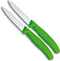 Victorinox Schilmes Spits - Set 2-delig - Groen