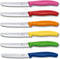 Victorinox Swiss Classic Tomatenmessenset - 11cm - 6-delig - Multicolor - RVS en Kunststof