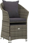 vidaXL - 2-delige - Loungeset - met - kussens - poly - rattan - grijs