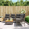 vidaXL - 2-delige - Loungeset - met - kussens - poly - rattan - grijs
