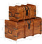 vidaXL - 2-delige - Opbergkistenset - massief - acaciahout - met - honingafwerking
