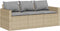 vidaXL - 2-delige - Tuinset - met - kussens - poly - rattan - beige
