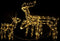 vidaXL - 3-delige - Kerstverlichting - rendieren - 229 - LED's