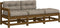 vidaXL - 3-delige - Loungeset - met - kussens - massief - hout - honingbruin