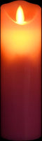 vidaXL 5-delige Kaarsenset met afstandsbediening LED warmwit
