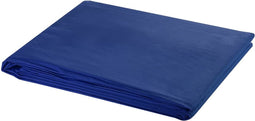 vidaXL Achtergrond chromakey 300x300 cm katoen blauw