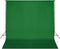 vidaXL - Achtergrondsysteem - 600x300 - cm - groen