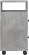 vidaXL - Badkamerkast - smal - met - wielen - bewerkt - hout - betongrijs