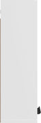 vidaXL - Badkamerkast - wandgemonteerd - 32x20x67 - cm - wit