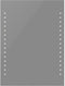 vidaXL - Badkamerspiegel - met - LEDs - 100x60 - cm