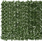 vidaXL - Balkonscherm - met - donkergroene - bladeren - 300x150 - cm