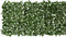vidaXL - Balkonscherm - met - donkergroene - bladeren - 300x75 - cm
