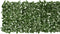 vidaXL - Balkonscherm - met - donkergroene - bladeren - 500x75 - cm