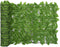 vidaXL - Balkonscherm - met - groene - bladeren - 300x100 - cm