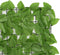 vidaXL - Balkonscherm - met - groene - bladeren - 400x75 - cm