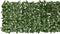 vidaXL - Balkonscherm - met - groene - bladeren - 600x75 - cm