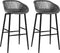 vidaXL - Barstoelen - 2 - st - grijs