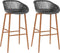 vidaXL - Barstoelen - 2 - st - grijs