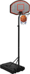 vidaXL Basketbalstandaard 237-307 cm polyetheen