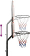 vidaXL Basketbalstandaard 237-307 cm polyetheen