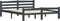 vidaXL - Bedframe - massief - grenenhout - donkergrijs - 160x200 - cm