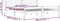 vidaXL - Bedframe - massief - grenenhout - donkergrijs - 180x200 - cm