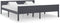 vidaXL - Bedframe - massief - grenenhout - grijs - 180x200 - cm