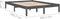 vidaXL - Bedframe - massief - grenenhout - grijs - 200x200 - cm