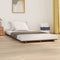 vidaXL - Bedframe - massief - grenenhout - honingbruin - 100x200 - cm