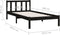 vidaXL - Bedframe - massief - grenenhout - zwart - 100x200 - cm