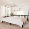 vidaXL - Bedframe - massief - grenenhout - zwart - 200x200 - cm