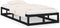 vidaXL - Bedframe - massief - hout - zwart - 90x200 - cm