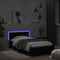 vidaXL - Bedframe - met - hoofdbord - en - LED-verlichting - zwart - 100x200 - cm