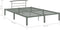 vidaXL - Bedframe - metaal - grijs - 120x200 - cm