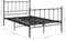 vidaXL - Bedframe - metaal - zwart - 120x200 - cm