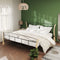 vidaXL - Bedframe - metaal - zwart - 200x200 - cm