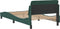 vidaXL - Bedframe - zonder - matras - 100x200 - cm - fluweel - donkergroen