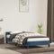 vidaXL - Bedframe - zonder - matras - 100x200 - cm - fluweel - donkerblauw