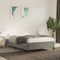 vidaXL - Bedframe - zonder - matras - 120x190 - cm - fluweel - lichtgrijs