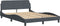 vidaXL - Bedframe - zonder - matras - 120x200 - cm - fluweel - donkergrijs
